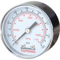 Mini Regulators - Replacement Gauge, 2" , 0 - 160 psi, Back Mount, Analogue TA796 | Nia-Chem Ltd.
