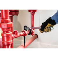 Cl&eacute; &agrave; chaîne Nia-Chem Ltd.