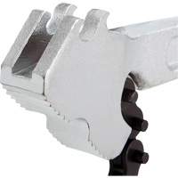 Cl&eacute; &agrave; chaîne Nia-Chem Ltd.