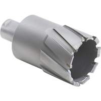 Couteau annulaire avec coupe &agrave; &acirc;me, Diam&egrave;tre de 1/2", Carbure, Profondeur de la coupe de 1-1/2", Tige 3/4" Nia-Chem Ltd.