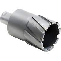 Outil de coupe annulaire, Diam&egrave;tre de 27,5 mm, Carbure, Profondeur de la coupe de 4" Nia-Chem Ltd.