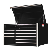 RX Series Tool Chest, 41" W, 8 Drawers, Black Nia-Chem Ltd.