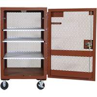Mobile Mesh Cabinet, Steel, 22 Cubic Feet, Red TEQ807 | Nia-Chem Ltd.