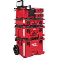 M18 Packout Light/Charger, LED, 3000 Lumens Nia-Chem Ltd.