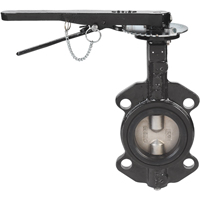 Butterfly Valves - Series BFV, 2" Pipe, 225 PSI Nia-Chem Ltd.