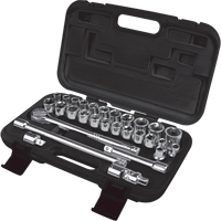 SAE/Metric Socket Set, 29 Pcs, 1/2" Drive Size Nia-Chem Ltd.