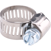 Reusable Zinc Plated Stainless Steel Clamp, Min Dia. 5/16", Max Dia. 7/8" Nia-Chem Ltd.