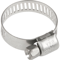 Hose Clamps - Stainless Steel Band & Screw, Min Dia. 0.316, Max Dia. 7/8" Nia-Chem Ltd.