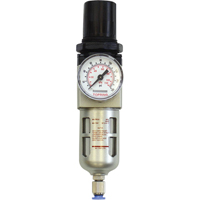 Modular Filter/Regulator, 1/4" NPT, 150 PSI, 0.5 fl.oz. Capacity Nia-Chem Ltd.