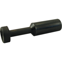 BOUCHON P.T.C. Nia-Chem Ltd.