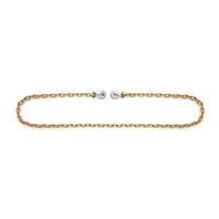 Chaîne d'attache avec crochets &agrave; manille  Nia-Chem Ltd.