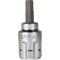 Jeu de douilles &agrave; embouts SAE/m&eacute;triques Pass-Thru, Hexagonale/Phillips/Fente/Torx, Prise 1/4"/3/8", 39 mrcx Nia-Chem Ltd.