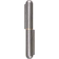 Weld-On Hinge, 0.787" Dia. x 5.906" L, Mild Steel w/Fixed Steel Pin TTV442 | Nia-Chem Ltd.
