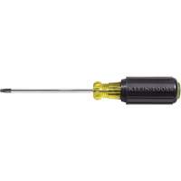 Tournevis Klein a/manche caoutchout&eacute;-Tournevis Torx &agrave; tige ronde Nia-Chem Ltd.