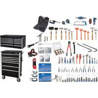 Ultimate Tool Set with Steel Chest and Cart, 358 Pieces Nia-Chem Ltd.