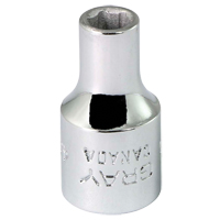 Socket, 4.5 mm, 1/4" Drive, 6 Points Nia-Chem Ltd.