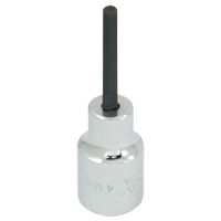 Embout de rechange, 5 mm x 1-1/5" lo, Prise 3/8" Nia-Chem Ltd.