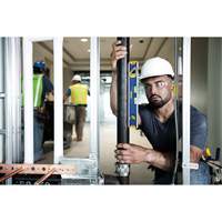 Niveau s&eacute;rie 150T, Boîte, 12" lo, Aluminium, 4, Magn&eacute;tique Nia-Chem Ltd.