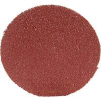 Roloc Disc 361F, 1-1/2" Dia., P100 Grit, Aluminum Oxide Nia-Chem Ltd.