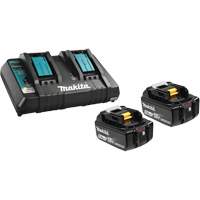 Ensemble de batterie au lithium-ion & chargeur &agrave; double port, 18 V, Lithium-ion Nia-Chem Ltd.