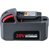 IQV20 High Capacity Battery, Lithium-Ion, 20 V, 5 Ah Nia-Chem Ltd.