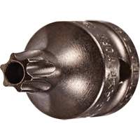 Embout &agrave; ins&eacute;rer, Torx inviolable, 8 x 3/4" lo, Prise 1/4" Nia-Chem Ltd.
