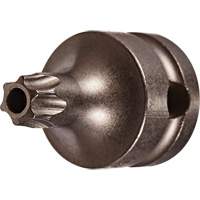 Embout &agrave; ins&eacute;rer, Torx inviolable, 25 x 1" lo, Prise 3/8" Nia-Chem Ltd.