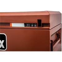 Armoire Site-Vault, 30" x 20" x 19-3/4", Acier, Orange Nia-Chem Ltd.