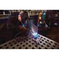 Pince-&eacute;tau Vise-Grip Fast Release 11R, Longueur 11", Pinces serre-joints Nia-Chem Ltd.