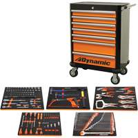 Ensemble d'outils pour m&eacute;canicien automobile avec armoire roulante Nia-Chem Ltd.