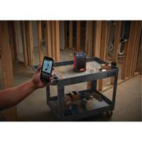 M12 Radio & Charger (Tool Only), Lithium-Ion, 12 V Nia-Chem Ltd.