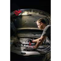 M12 Rover Mounting Flood Light, LED, 250 W, 1000 Lumens Nia-Chem Ltd.