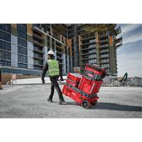 Packout Rolling Tool Chest, 15-4/5" x 34" x 28", Red Nia-Chem Ltd.