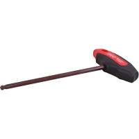SAE Hex Key, Ball End, 3/8" x T Handle Nia-Chem Ltd.