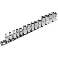 SS314TS  Standard External Socket Sets, Torx&reg;, 1/2"/1/4"/3/8" Drive, 14 Pcs Nia-Chem Ltd.