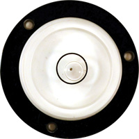 Niveau Bull's-Eye Nia-Chem Ltd.