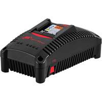 IQV&reg;40 Battery Charger, 40 V, Lithium-Ion Nia-Chem Ltd.
