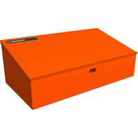 RAILWORKS Top Shelf Lockable Angled Workstation Nia-Chem Ltd.