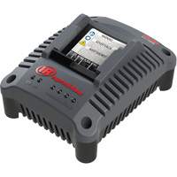 IQV20 Compact Battery Charger, 20 V, Lithium-Ion Nia-Chem Ltd.