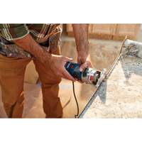 Colt Electronic Variable-Speed Palm Router Nia-Chem Ltd.
