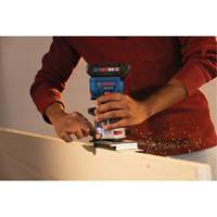 Brushless Colt Palm Router Nia-Chem Ltd.