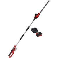 Taille-haie &agrave; perche sans fil avec batterie 4 Ah et ensemble de d&eacute;part de chargeur, 18", 18 V, &agrave; pile Nia-Chem Ltd.