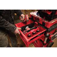 Diviseur pour boîtes &agrave; outils &agrave; tiroirs Packout Nia-Chem Ltd.