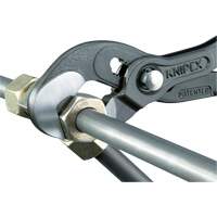 Pince Raptor, 10" Nia-Chem Ltd.