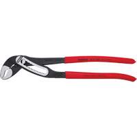 Pince multiprise auto-bloquante Alligator&reg;, 12" Nia-Chem Ltd.
