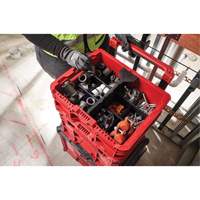 PACKOUT Low-Profile Crate, 15" x 18-5/8" x 6-5/8", Black/Red Nia-Chem Ltd.