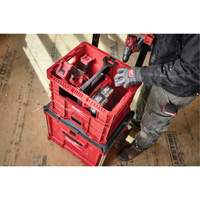 PACKOUT XL Crate, 15-3/4" x 18-5/8" x 15", Black/Red Nia-Chem Ltd.
