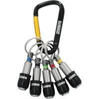 5-Piece Keyring Bit Holder Set Nia-Chem Ltd.