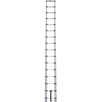 Telescopic Ladder, 3' - 15.5', Aluminum, 250 lbs. Capacity, Type 1 VC252 | Nia-Chem Ltd.