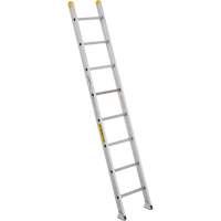 Industrial Heavy-Duty Extension/Straight Ladders, 10', Aluminum, 300 lbs., CSA Grade 1A VC274 | Nia-Chem Ltd.